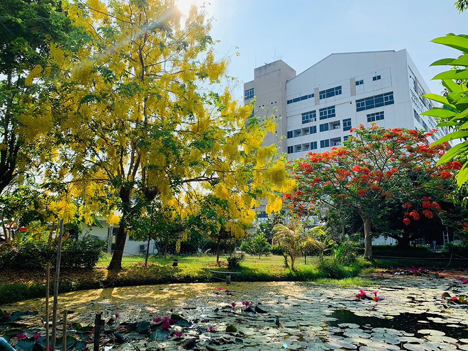 global care, aziende sanitarie